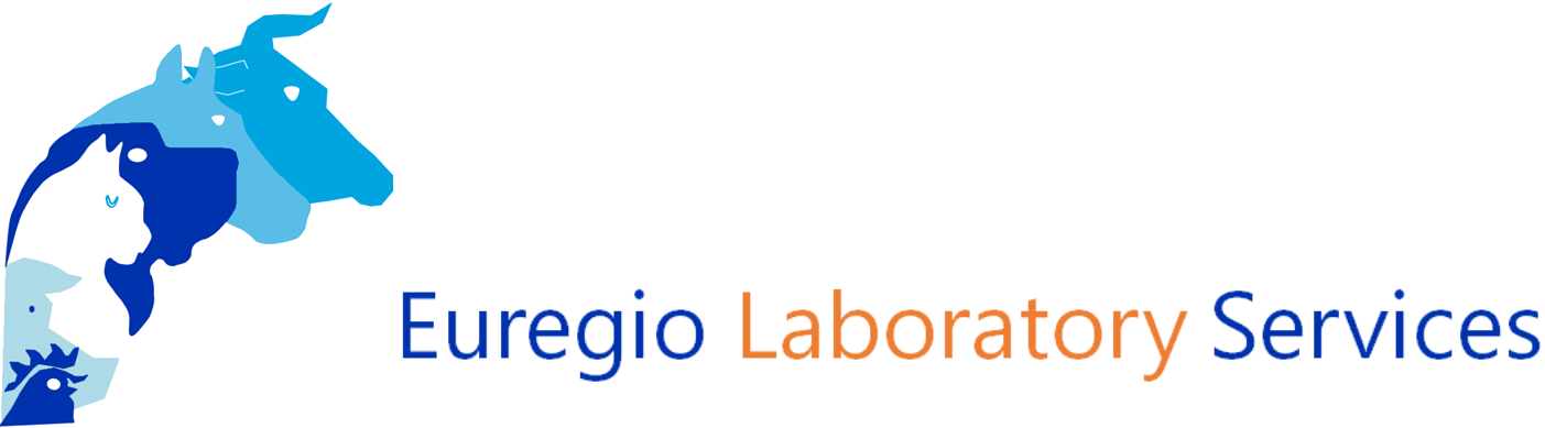 Euregio-Lab