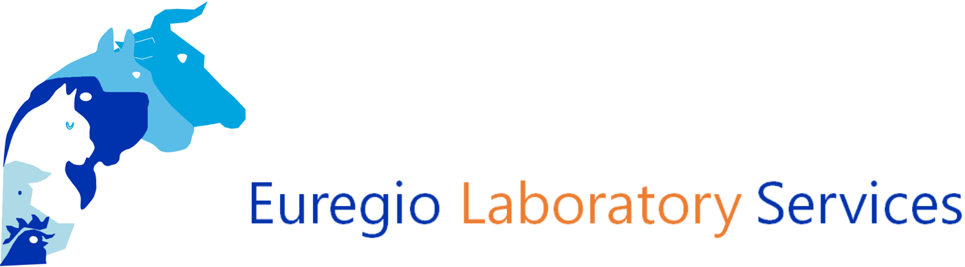 Euregio-Lab